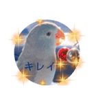 リルᒼᑋªⁿ✿（個別スタンプ：4）