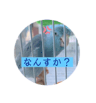 リルᒼᑋªⁿ✿（個別スタンプ：5）