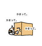 ネコダン（個別スタンプ：11）