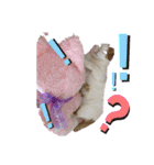 猫z（個別スタンプ：15）