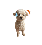 犬のクレマ（個別スタンプ：4）
