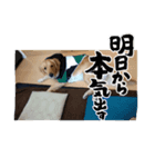 てんちゃんだよっ！（個別スタンプ：2）