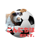 どんぐりサッカー1（個別スタンプ：6）
