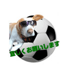 どんぐりサッカー1（個別スタンプ：7）