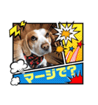 どんぐりサッカー1（個別スタンプ：10）