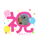 マメルリハのリルちゃん3（個別スタンプ：2）