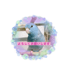 マメルリハのリルちゃん3（個別スタンプ：4）