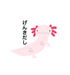 ゆるい落書きアニマルスタンプ（個別スタンプ：4）