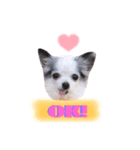 QOOちゃん♡（個別スタンプ：1）