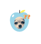 QOOちゃん♡（個別スタンプ：3）