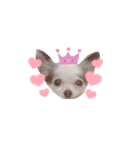 QOOちゃん♡（個別スタンプ：5）