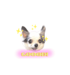 QOOちゃん♡（個別スタンプ：6）