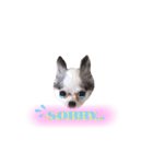 QOOちゃん♡（個別スタンプ：8）