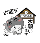 柴犬と黒柴 毎日使える カップル向け（個別スタンプ：8）