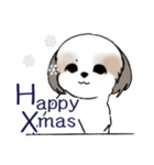 Stickers_Shih Tzu_i シーズースタンプ冬（個別スタンプ：2）