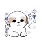 Stickers_Shih Tzu_i シーズースタンプ冬（個別スタンプ：5）