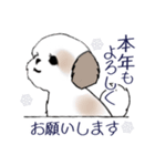 Stickers_Shih Tzu_i シーズースタンプ冬（個別スタンプ：6）