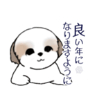 Stickers_Shih Tzu_i シーズースタンプ冬（個別スタンプ：12）