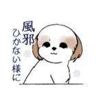 Stickers_Shih Tzu_i シーズースタンプ冬（個別スタンプ：13）