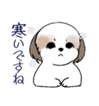 Stickers_Shih Tzu_i シーズースタンプ冬（個別スタンプ：14）