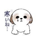 Stickers_Shih Tzu_i シーズースタンプ冬（個別スタンプ：15）