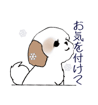 Stickers_Shih Tzu_i シーズースタンプ冬（個別スタンプ：16）