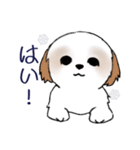 Stickers_Shih Tzu_i シーズースタンプ冬（個別スタンプ：17）