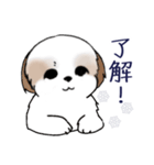 Stickers_Shih Tzu_i シーズースタンプ冬（個別スタンプ：18）