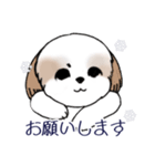 Stickers_Shih Tzu_i シーズースタンプ冬（個別スタンプ：24）