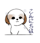 Stickers_Shih Tzu_i シーズースタンプ冬（個別スタンプ：26）