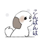 Stickers_Shih Tzu_i シーズースタンプ冬（個別スタンプ：27）