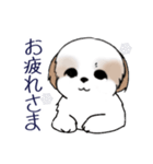 Stickers_Shih Tzu_i シーズースタンプ冬（個別スタンプ：28）