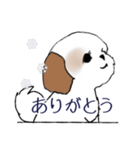 Stickers_Shih Tzu_i シーズースタンプ冬（個別スタンプ：29）