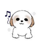 Stickers_Shih Tzu_i シーズースタンプ冬（個別スタンプ：35）