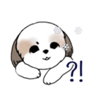 Stickers_Shih Tzu_i シーズースタンプ冬（個別スタンプ：37）