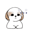 Stickers_Shih Tzu_i シーズースタンプ冬（個別スタンプ：39）