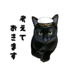 黒猫幕僚長（個別スタンプ：4）