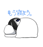 ゆるいコトリ君のゆるいスタンプ（個別スタンプ：13）