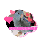リルちゃん5（個別スタンプ：1）