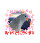 リルちゃん5（個別スタンプ：2）