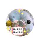 リルちゃん5（個別スタンプ：4）