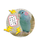 リルちゃん4（個別スタンプ：5）