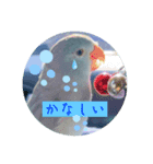リルちゃん4（個別スタンプ：8）