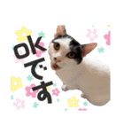 ネルSTAMP（個別スタンプ：4）