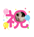 ネルSTAMP（個別スタンプ：15）