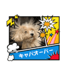 愉快な「かるーあ」スタンプ（個別スタンプ：3）