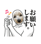 愉快な「かるーあ」スタンプ（個別スタンプ：36）