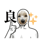 愉快な「かるーあ」スタンプ（個別スタンプ：38）