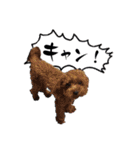 毎日頑張るN9スタンプ（個別スタンプ：36）