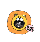 チワプー挨拶スタンプ（個別スタンプ：5）